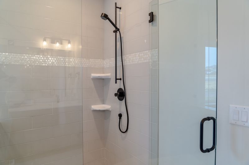 Sophisticated Shower Design